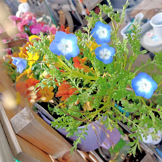 mariaさんの実例写真