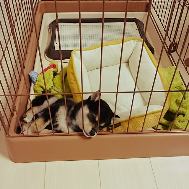 ernさんの実例写真
