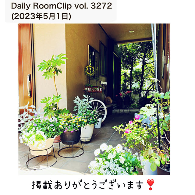 NAOさんの実例写真