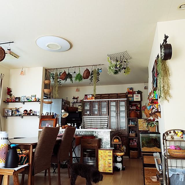 umeboshicyanさんの実例写真