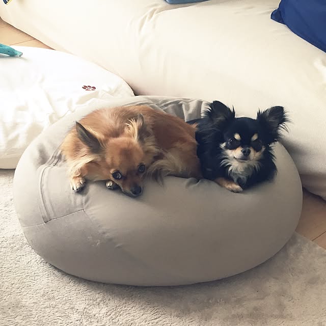 miyuさんの実例写真