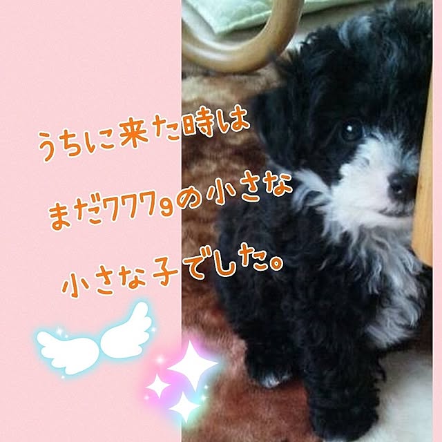 chinon721さんの部屋