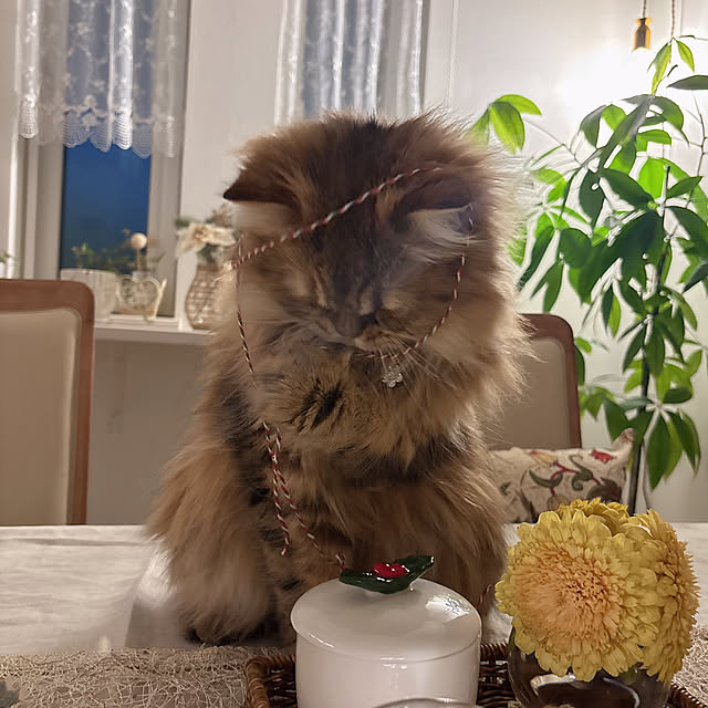 miyu39さんの部屋