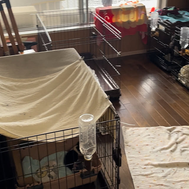 oggy0301さんの部屋