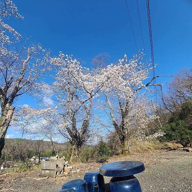 Rubiconさんの部屋