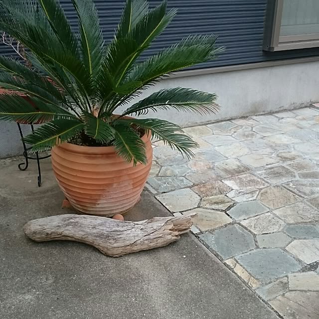 実例写真