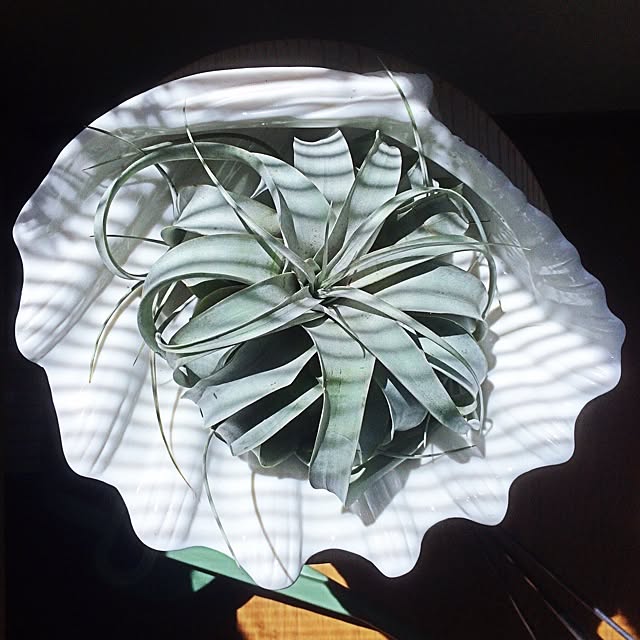 Katsuraさんの実例写真