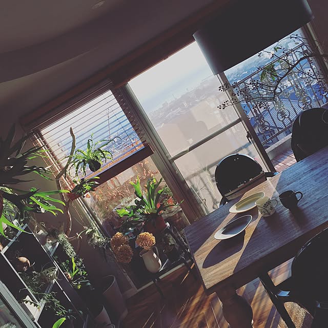 bonjour.ayaさんの実例写真