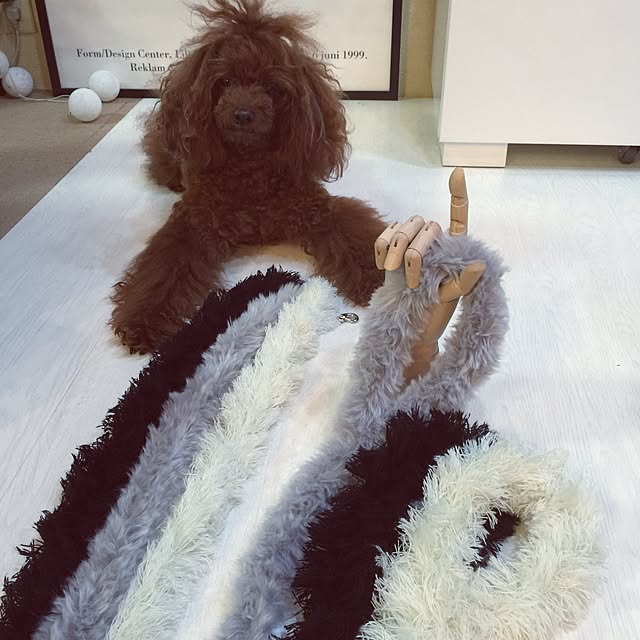 yoshiさんの実例写真