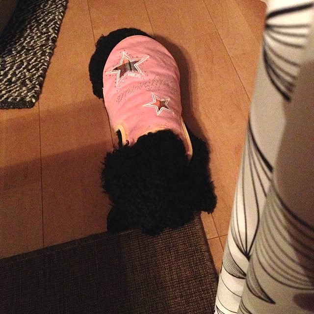 dicekbeetleさんの実例写真