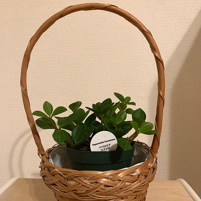 m.mさんの実例写真