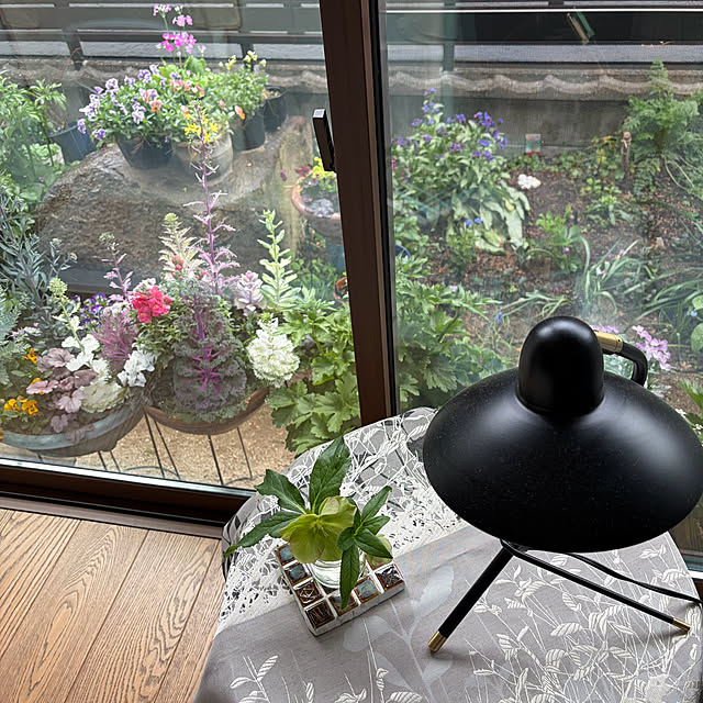 buchiさんの部屋