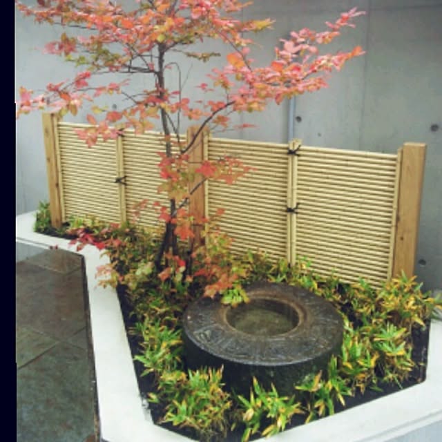 ShizenhaSyokuninさんの実例写真