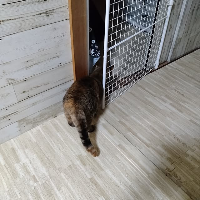 runaさんの部屋