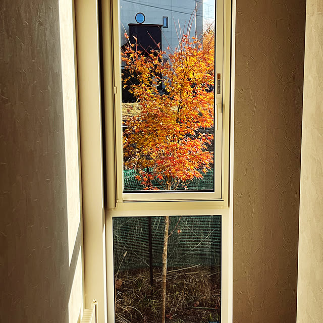 reosukeさんの部屋