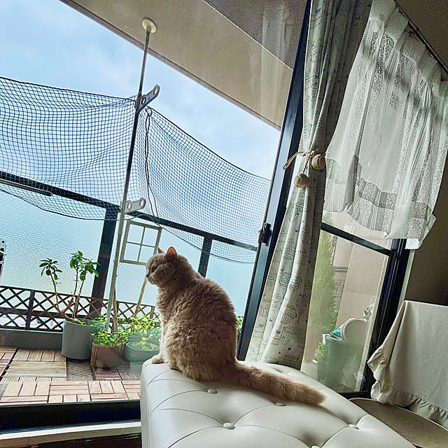 naokoさんの実例写真