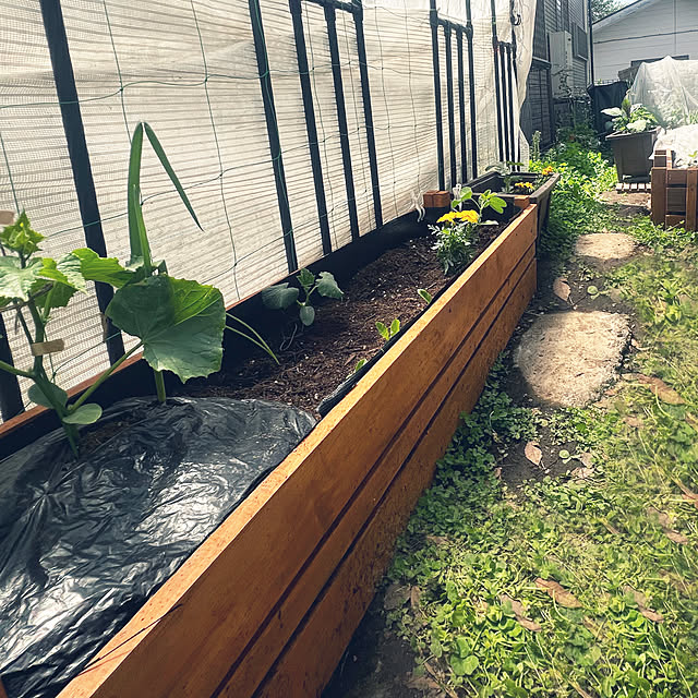 SquarePantsさんの実例写真