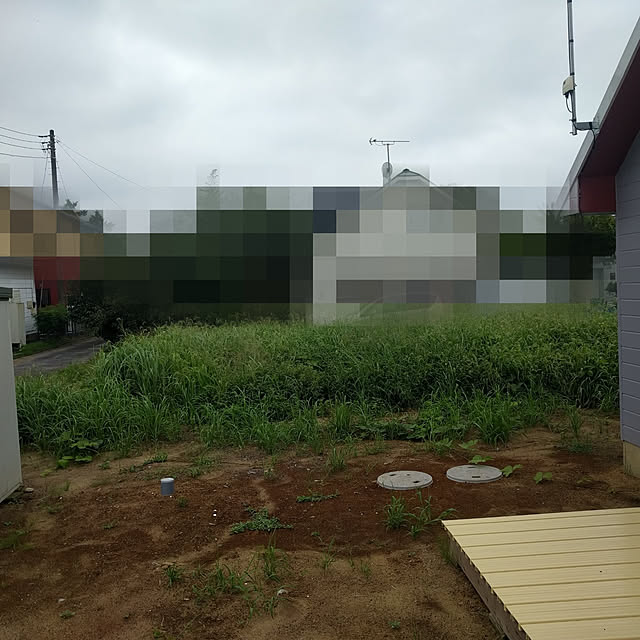 実例写真