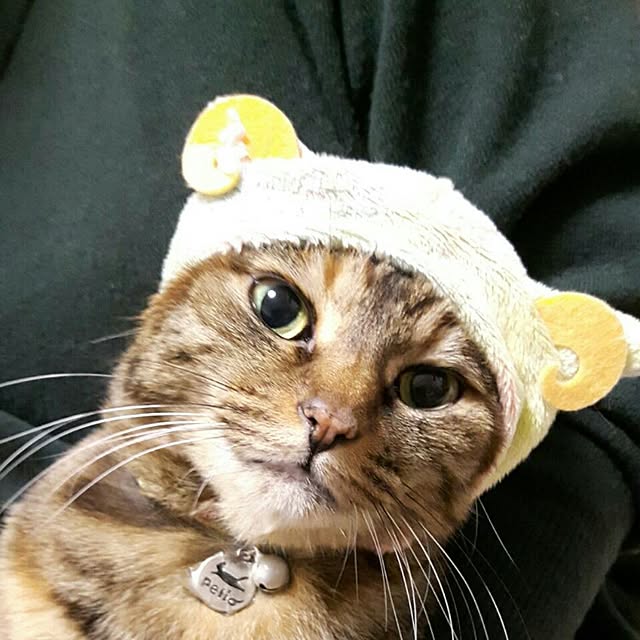 Yukoさんの実例写真