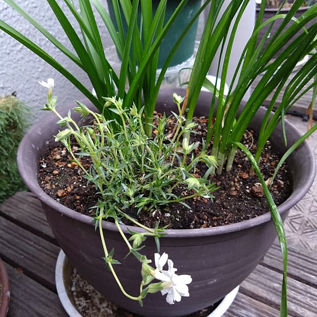 kakkaさんの部屋