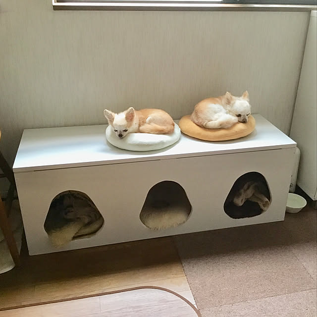 splush1219さんの実例写真