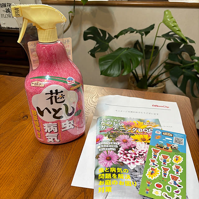 chIoeさんの実例写真