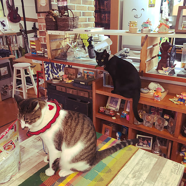 jijiさんの実例写真