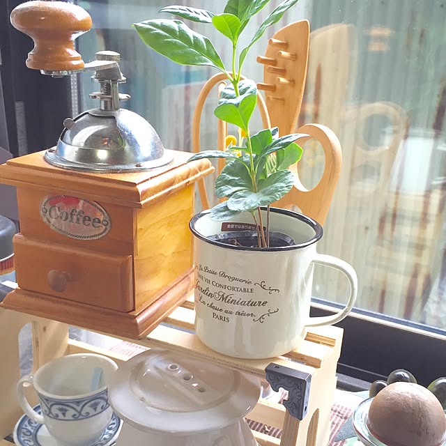 hiroさんの実例写真