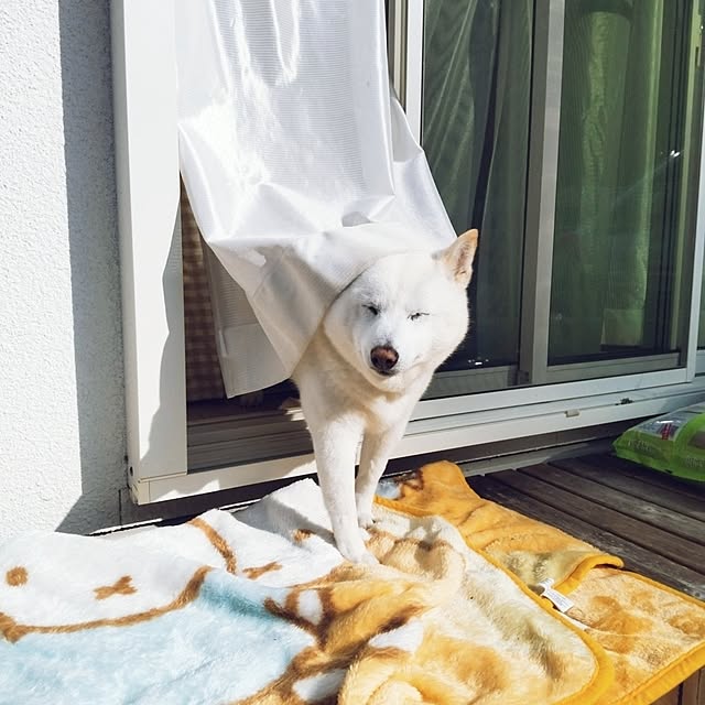 yukinkoさんの部屋