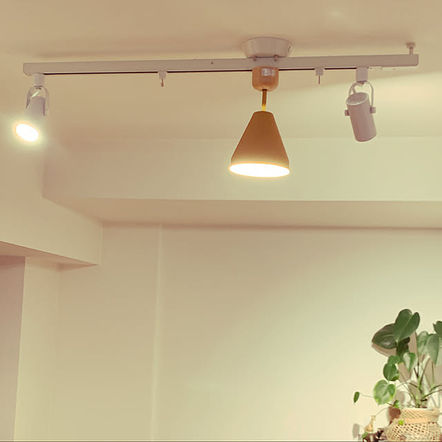 観葉植物/照明/ナチュラル/カフェ風/壁/天井のインテリア実例 - 2021-05-17 22:09:11
