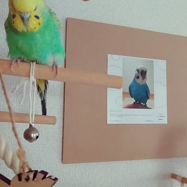 toratanさんの部屋