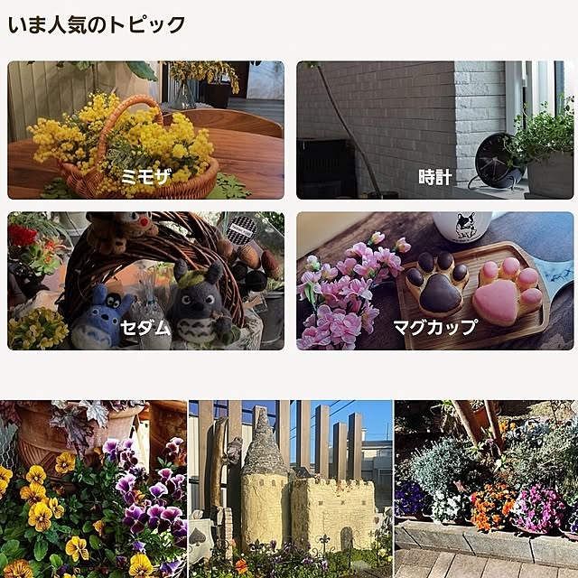 noaさんの実例写真