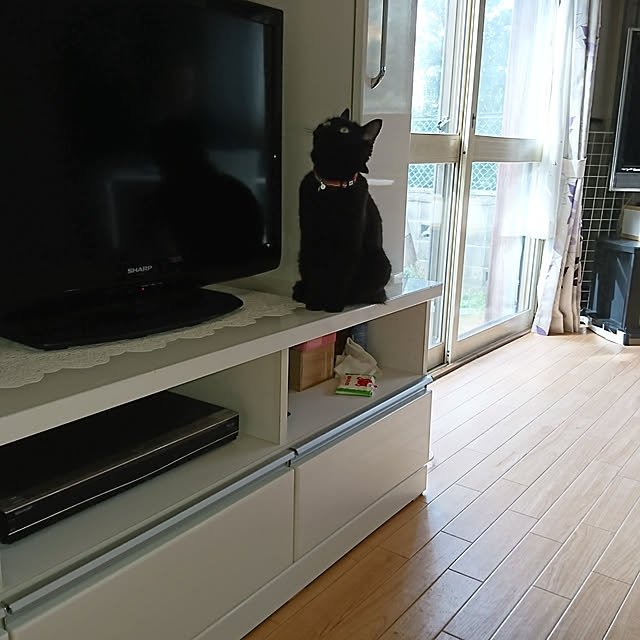 Barbraさんの部屋