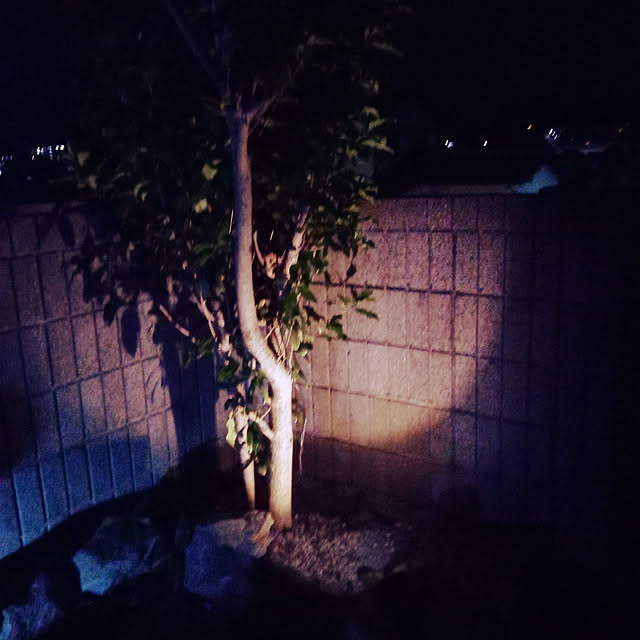 ckkさんの実例写真