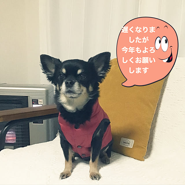 sakuさんの実例写真