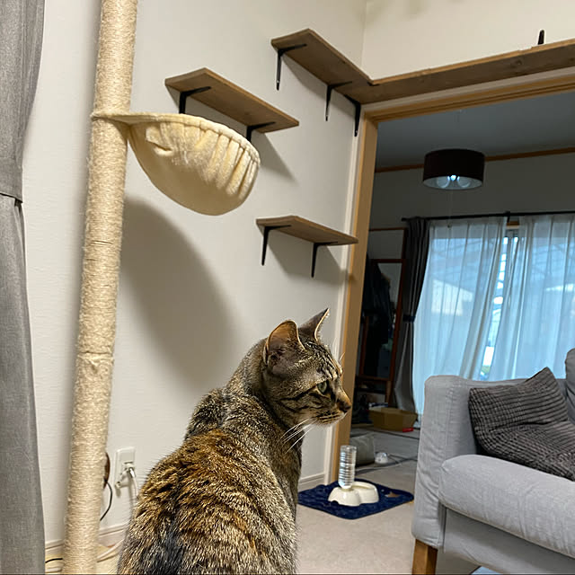 yoshieさんの実例写真