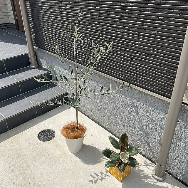 miffy.0044さんの実例写真