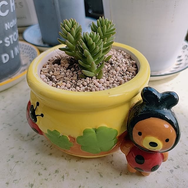 cocomintさんの実例写真