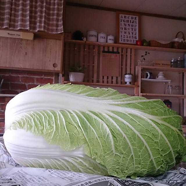miporin0711さんの実例写真