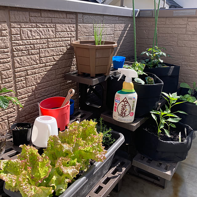 Omachanさんの実例写真