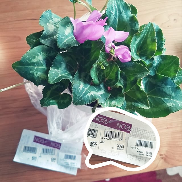 mi-saさんの部屋