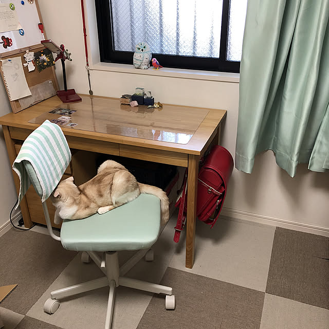 ayumさんの実例写真