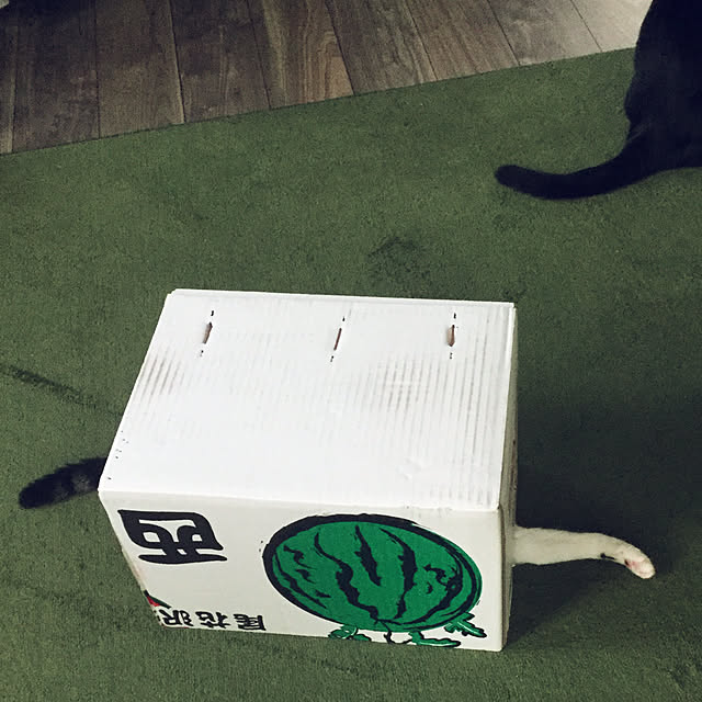 popoさんの実例写真