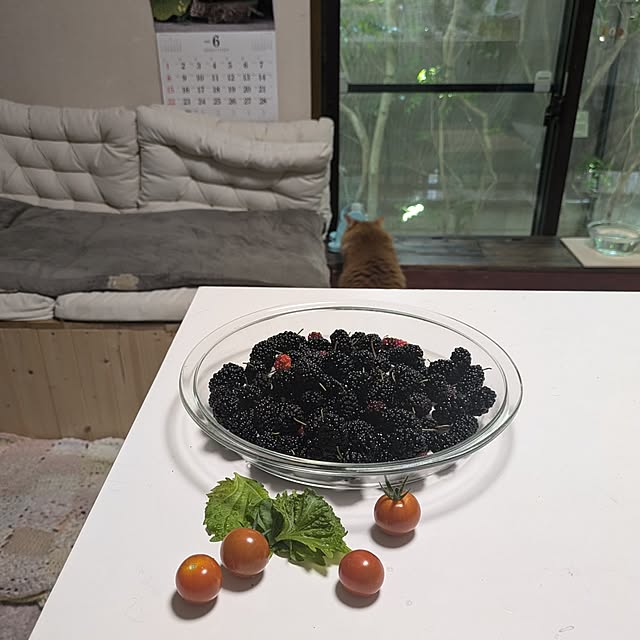 mori_6_12さんの実例写真
