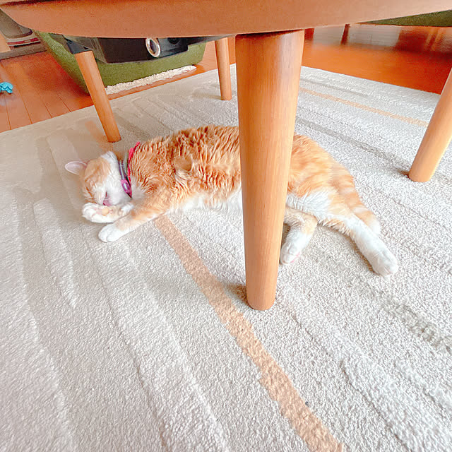 moolさんの部屋