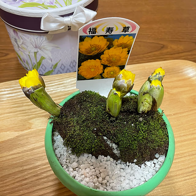 kakoさんの実例写真