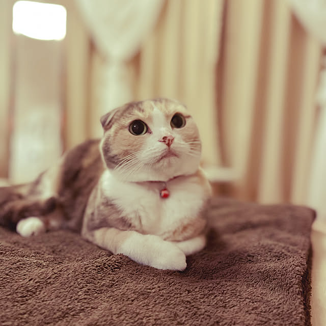 Mari-aさんの実例写真