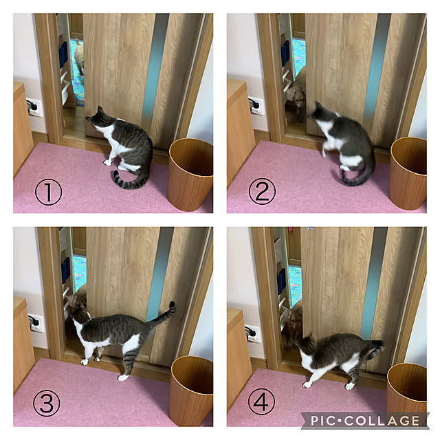 haruminさんの実例写真