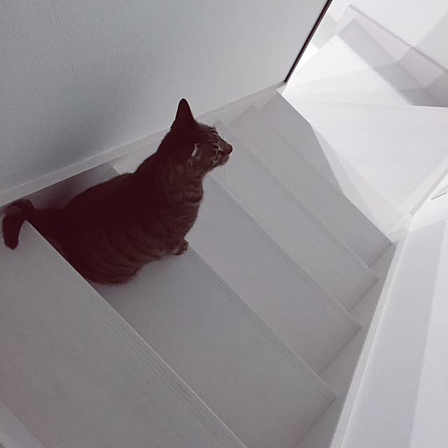 Leeさんの実例写真