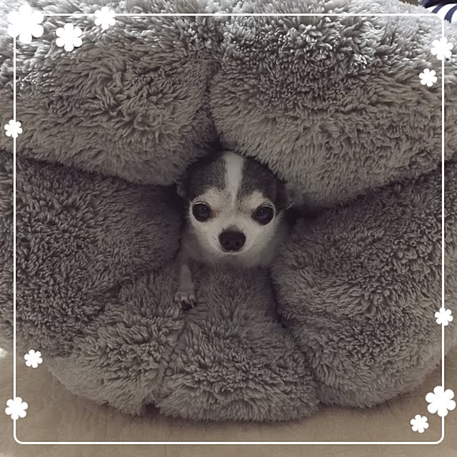 Emiさんの実例写真